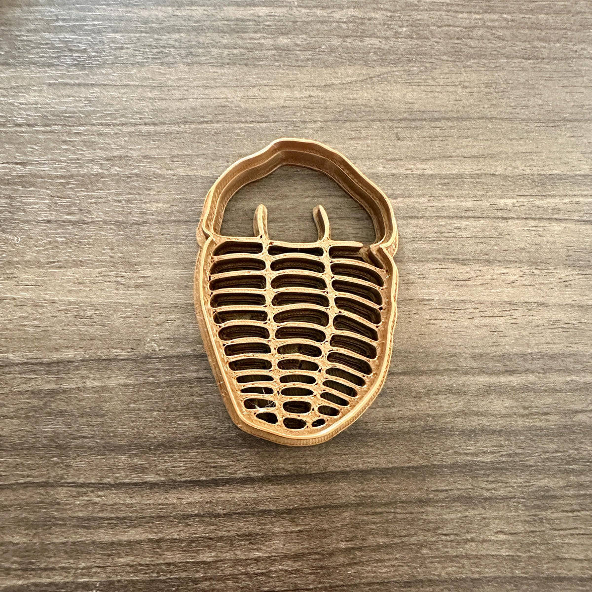 Fossil Cookie Cutter