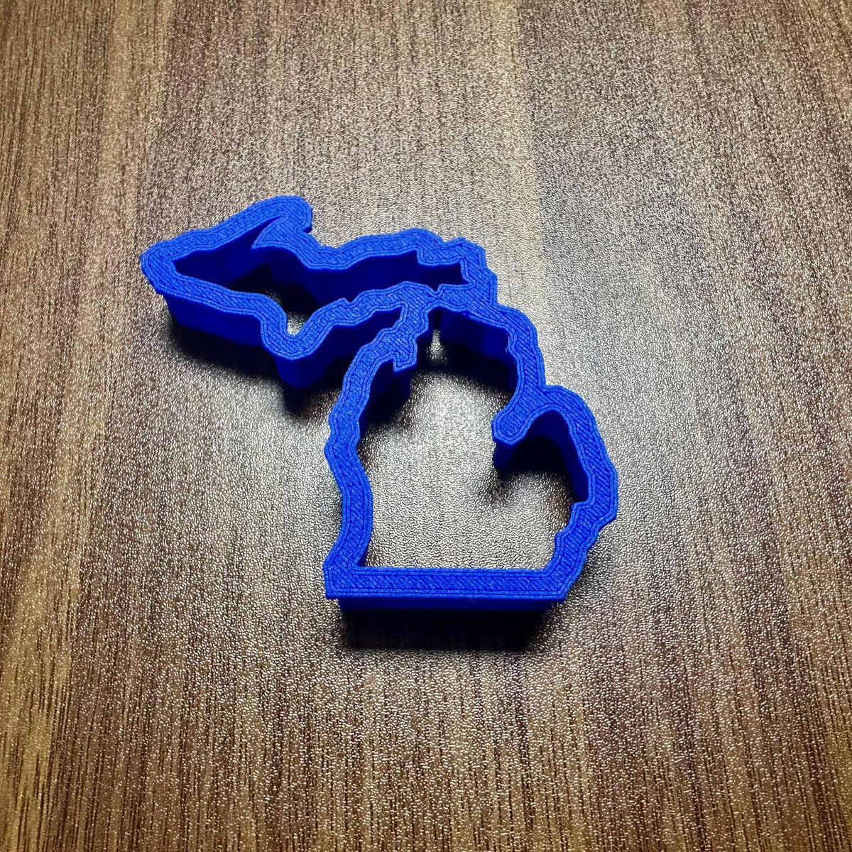 Michigan State Cookie Cutter