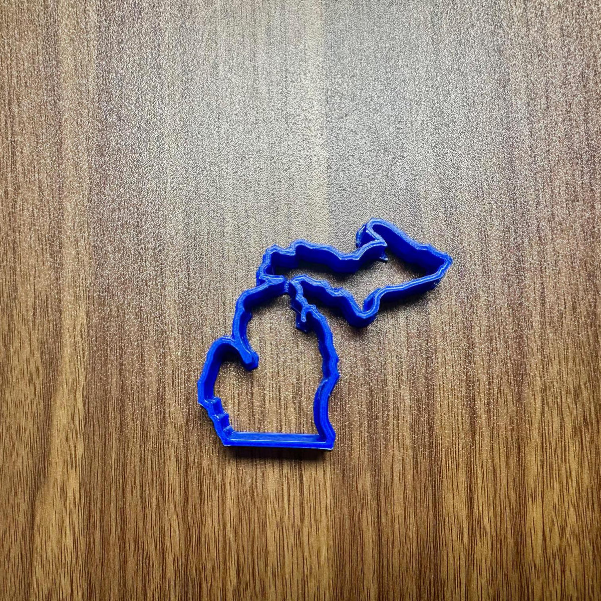 Michigan State Cookie Cutter